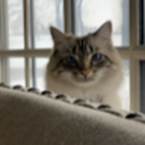 Meet your Posher, Cindy